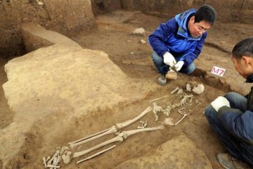 История перевернулась: древнейший след человека нашли в самом неожиданном месте