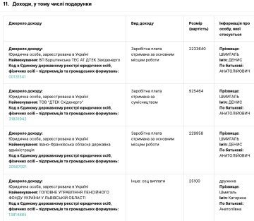 Декларация Дениса Шмыгаля за 2019 год, фото: скриншот