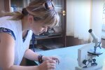 Харьковчанку укусил больной комар, женщина в ужасе - "Червь в глазу"
