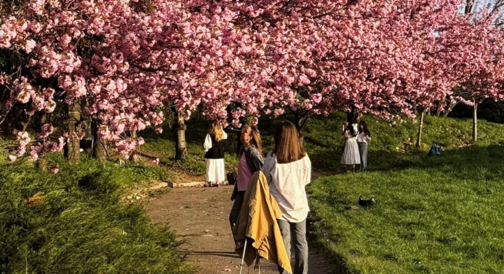 Украинцы, ботанический сад, фото из соцсетей