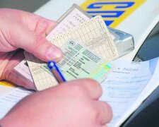 Кабмин запускает "Государство в смартфоне": водительские права, техпаспорт и другие услуги можно получить онлайн