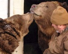 Ніжності від 700-кілограмового ведмедя (фото)