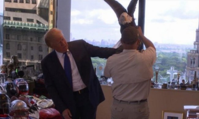 На Трампа під час фотосесії напав орел (відео)