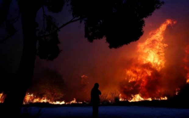 Пожежі в Греції забрали сотні життів: влада назвала головну причину лиха