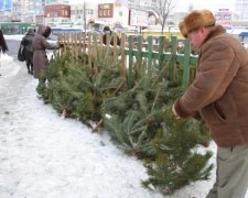 Новий додаток допоможе українцям легально купити ялинку
