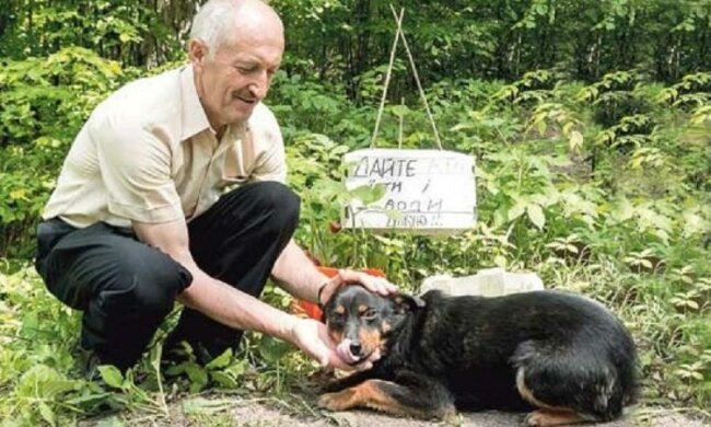 На Волині з'явилася місцева Хатіко. Трагічна історія