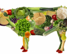Вегетарианство: плюсы и минусы смены рациона