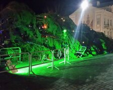 Елка в Полоцке, Беларусь, фото из соцсетей