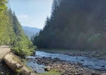 Карпати, кадр з відео, зображення ілюстративне: YouTube