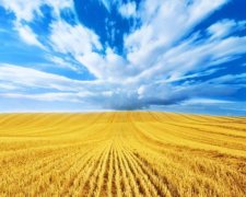 Социологи выяснили, какой язык основной для украинцев