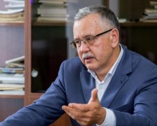Предложу вернуться: Гриценко рассказал о первых президентских планах