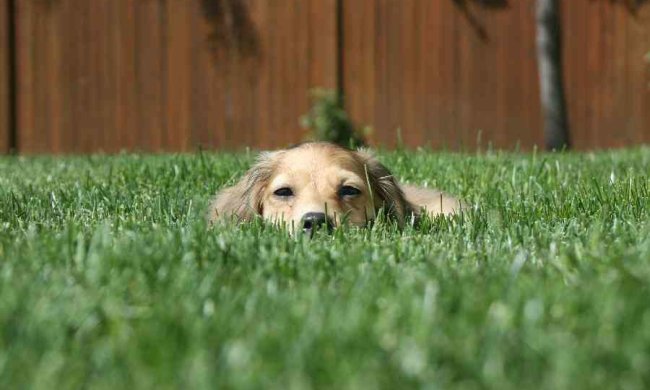 Лучшие мемы на 5 марта: пользователи скорбят по вокалисту The Prodigy и смеются со сферической коровой