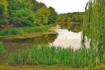 Улюблений парк киян перетворився на фільм жахів: посеред озера сплив труп