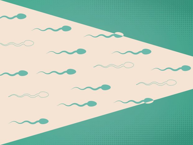 Стара гвардія завжди в справі: вчені розвінчали міф про вік сперматозоїдів