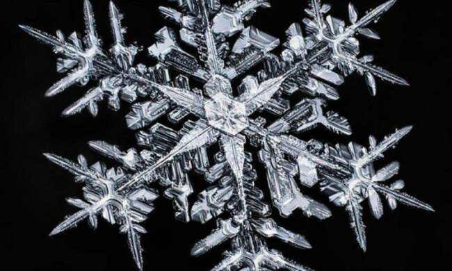 Канадець показав справжню красу сніжинок (фото, відео)