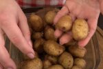 Молодая картошка, скриншот: Youtube