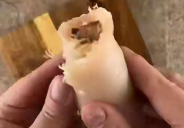 Курячі рулетики, кадр з відео