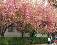 Погода на 16 апреля: весна решила поиграть с украинцами
