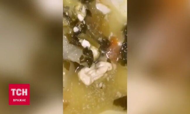 Жуйка в супі. скрін з відео, ТСН