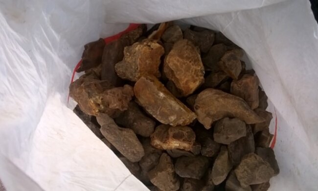 На Рівненщині правоохоронці вилучили 12,6 кг бурштину 