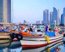 На очередное "безвизовое чудо" денег хватит далеко не всем