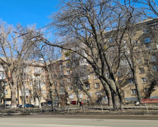 Житло, нерухомість, зображення із соцмереж
