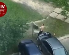 Бійка з килимом, скріншот із відео