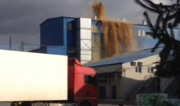 На заводе в Воронеже бил фонтан из дрожжей (видео)