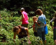 Невідомий хижак відправив маленького українця до реанімації