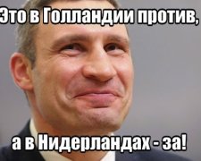 В соцсетях посмеялись над голландским референдумом (фотожабы)