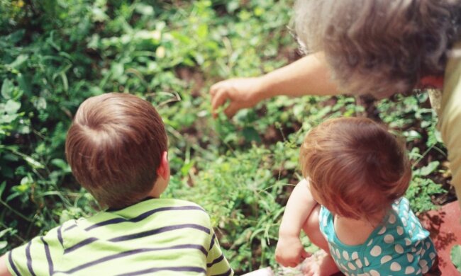 Генетика, фото: Nikoline Arns