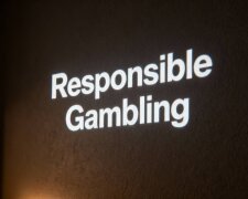 Год исследований и 22 страны: главные инструменты ответственной игры в мире