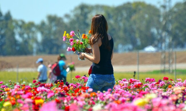 Погода влітку, скріншот: YouTube