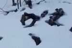 Жители городка содрогнулись, найдя усеянную останками тел дорогу: "Могила"