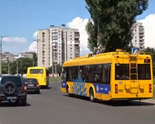 Тролейбус, кадр з відео