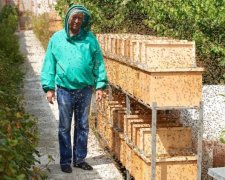 Зосима Пасічник 2 липня: чого категорично не можна робити
