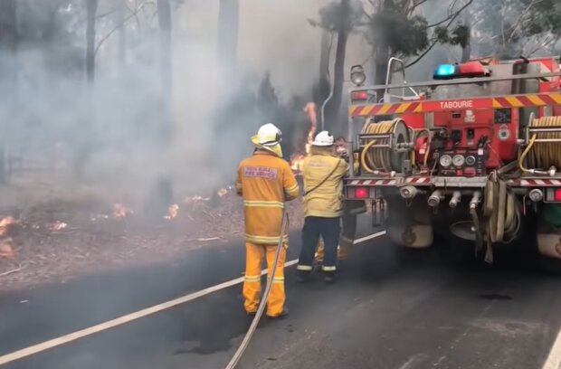 Пожары в Австралии, скриншот: YouTube