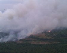 Під Полтавою залишилося 38 га тліючих торфовищ