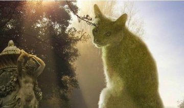 Коты-кусты Ричарда Сондерса - новый хит сети