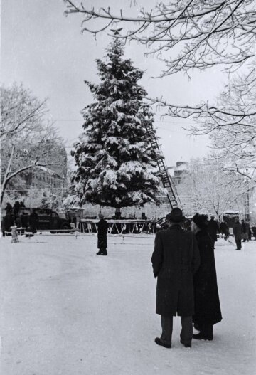 Зимний Львов 1960 года, фото: lviv.in.ua