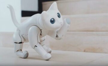 MarsCat, Хвиля