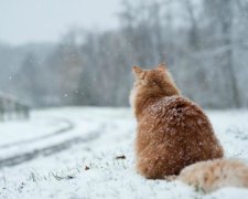 Плануєте вихідні? Дізнайтеся прогноз погоди у вашому регіоні
