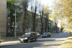 Озвірілий монстр взяв у полон львів'ян з собакою, 7 годин паніки і темряви: бррр, моторошно...