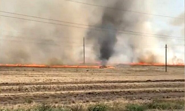 Вогняний смерч в Башкирії, скріншот з відео