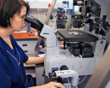 Діти на мільйон: скільки заробляють українки на сурогатному материнстві