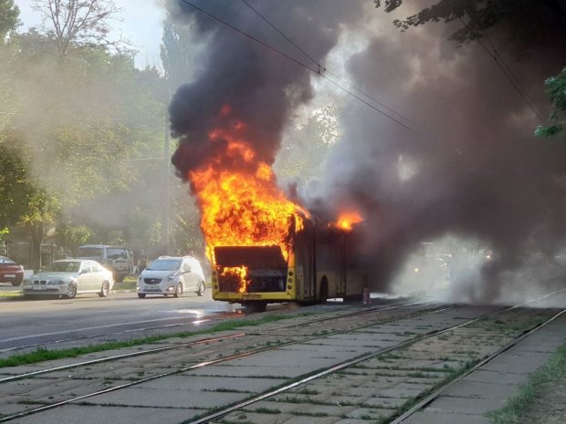Языки пламени и густой дым: от пассажирского автобуса осталась лишь металлическая коробка