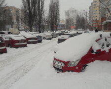 Зима, мороз - фото Знай.ua