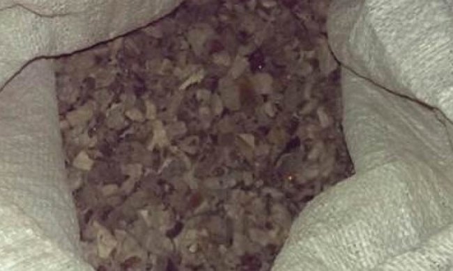 В Житомирской области у скупщика изъяли 15 кг янтаря
