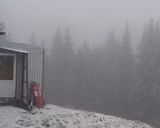 Снег в Карпатах, скриншот с видео