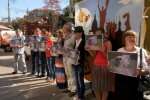 Під Київською мерією мітингували на підтримку побитої активістки